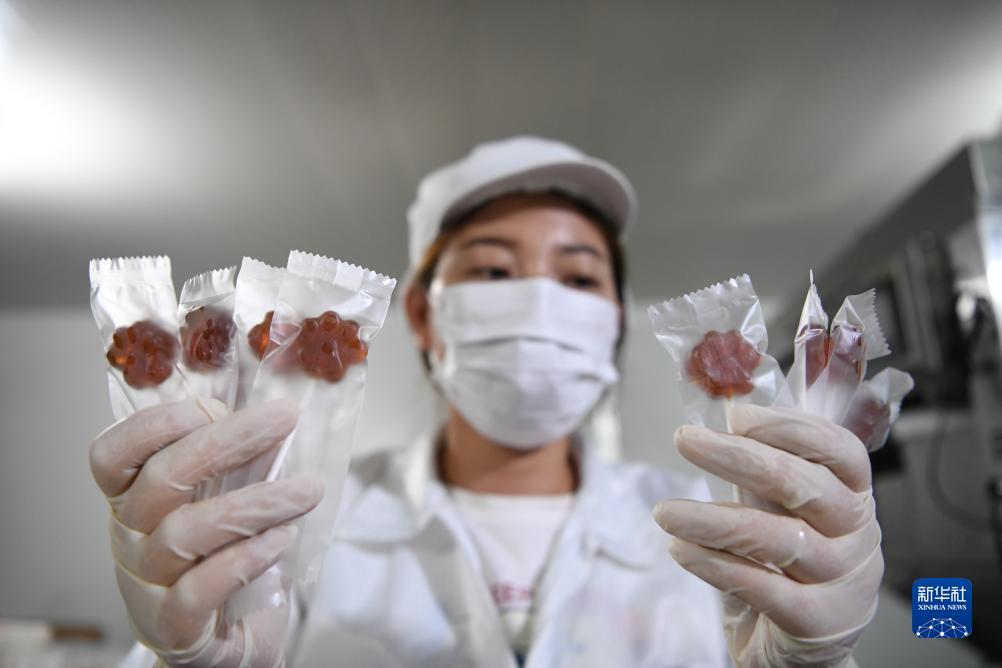 捕鱼游戏外挂下载